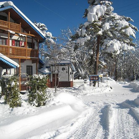 Bed and Breakfast Alpine Wind Хакуба-Мура Экстерьер фото