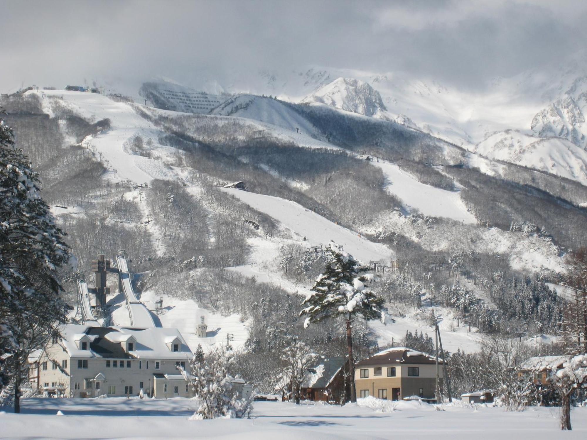 Bed and Breakfast Alpine Wind Хакуба-Мура Экстерьер фото